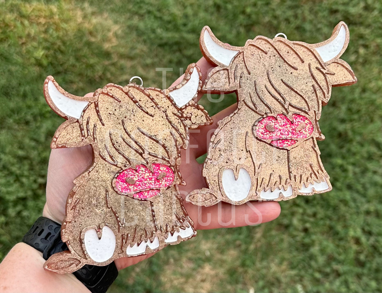 Highland Cow