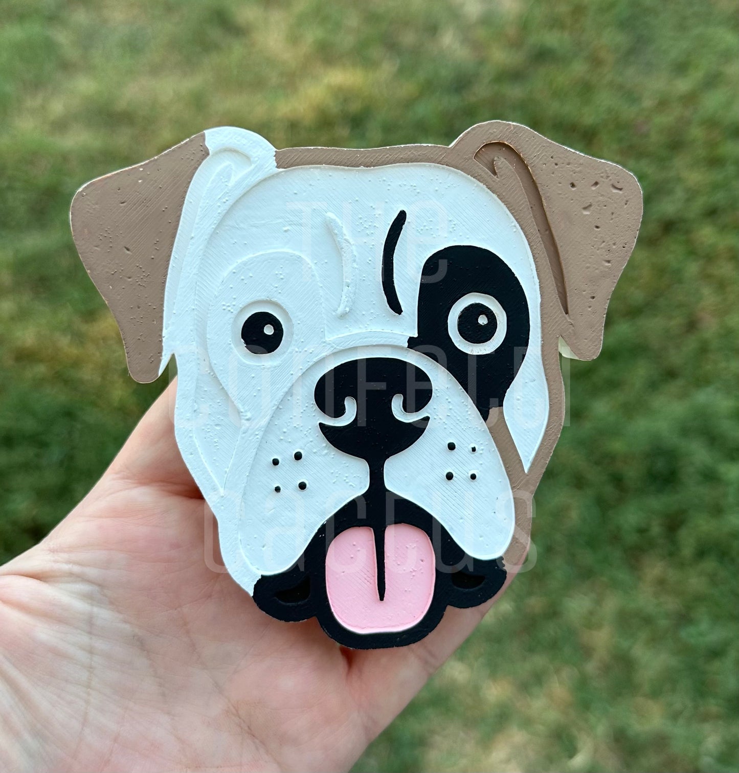Boxer