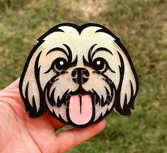 Shih tzu