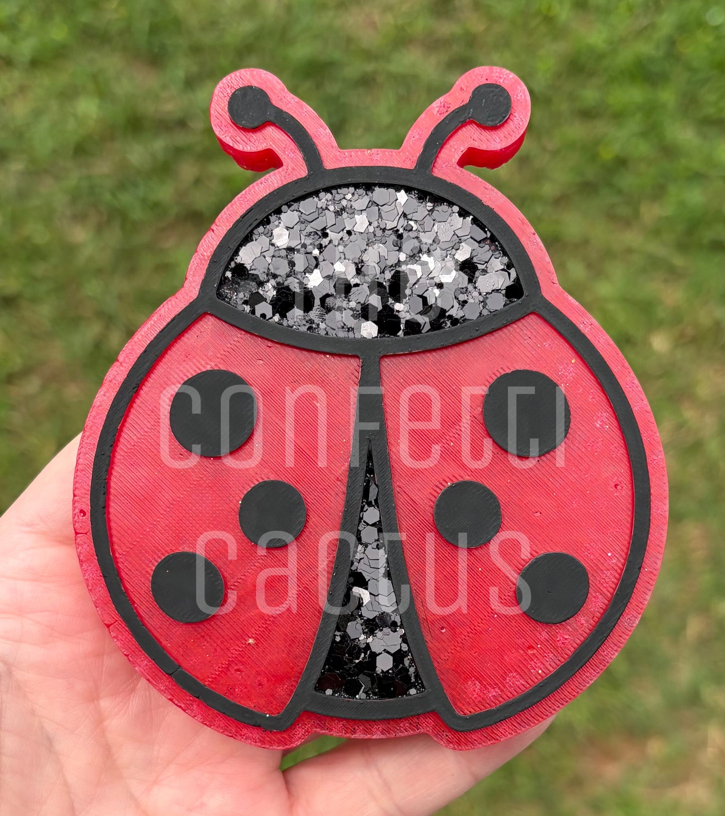 Lady Bug