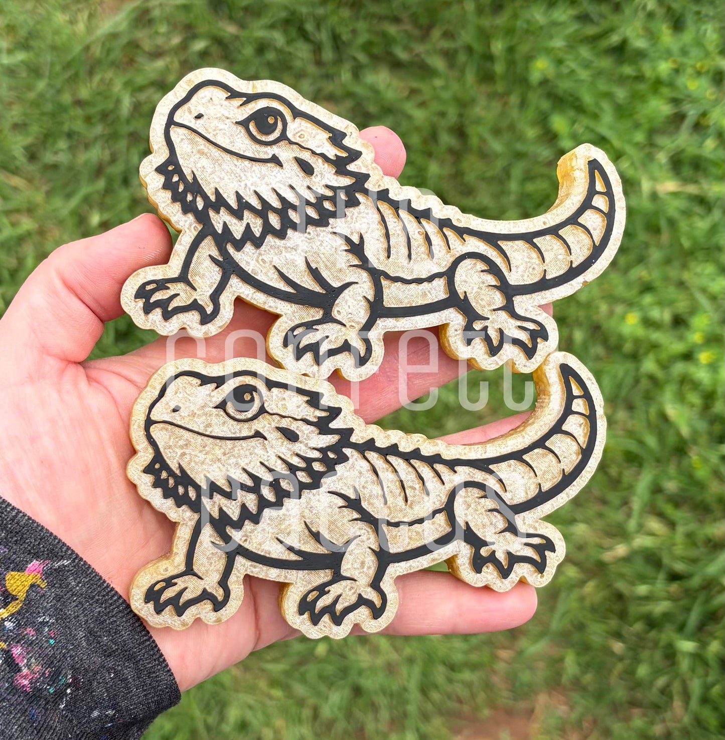 Bearded Dragon